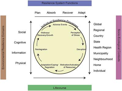 A Unified Model of Resilience and Aging: Applications to COVID-19